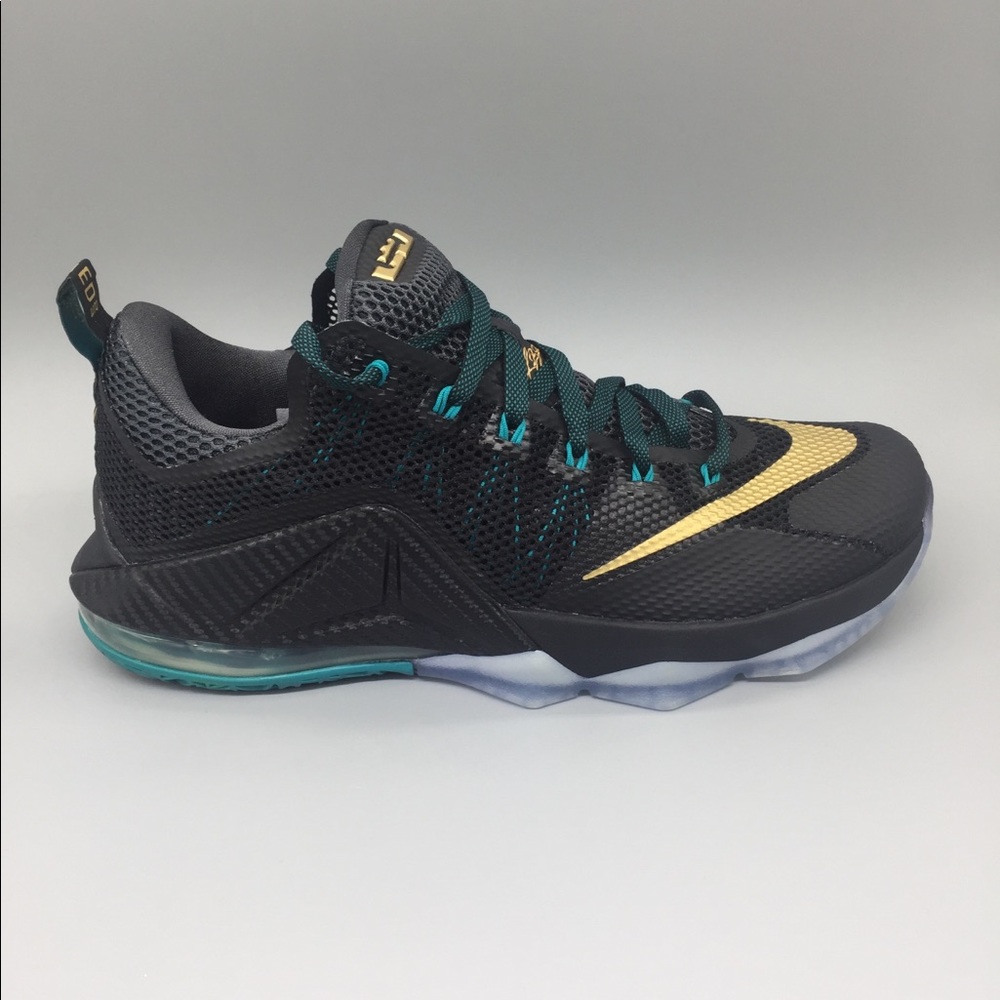 🔥Nike Lebron XII Low *NEW*